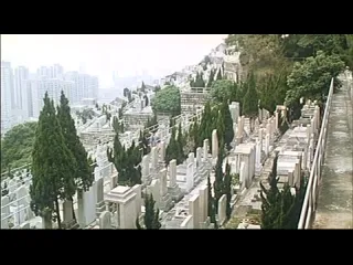 A bloody fight 1988 wilson tong full movie online film1k