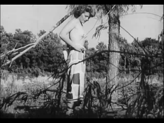 The wild and the naked 1962 stan roberts full movie online