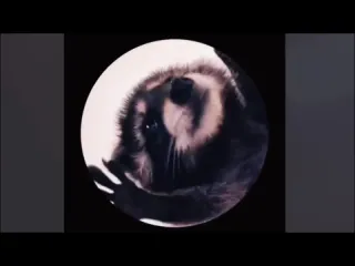 Raffaella carr pedro jaxomy agatino romero remix tik tok